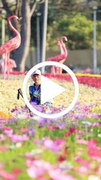 BIB:  <button type="button" onclick="openModal(27583353)" class="btn btn-primary btn-sm float-right" data-toggle="modal" data-target=".modal-high-quality">
                <i class="fa fa-download"></i> Download
                </button>